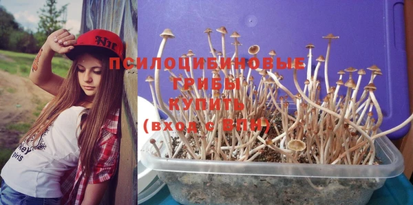 соль курить ск Киреевск