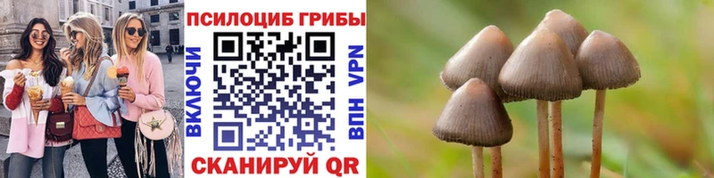 Купить где  Коломна  Псилоцибиновые грибы прущие грибы 